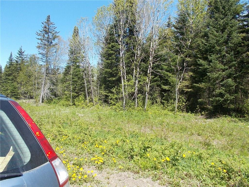 3017 Portage Road Portage Lake, ME 04768 - Photo 6 of 10 Photo