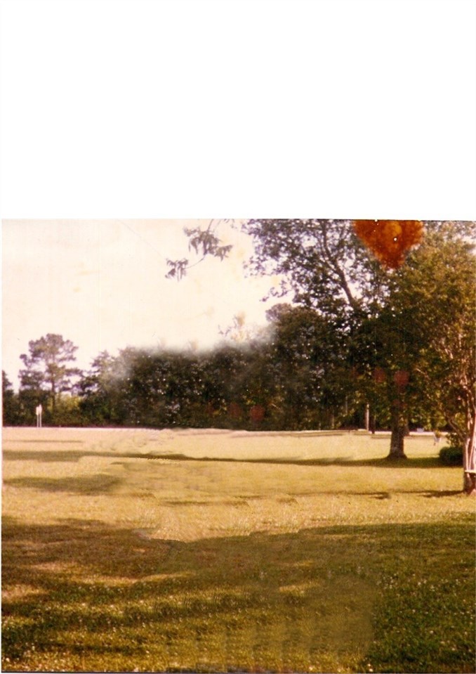20414 Brinks Willis Road Foley, AL 36535 - Photo 3 of 7