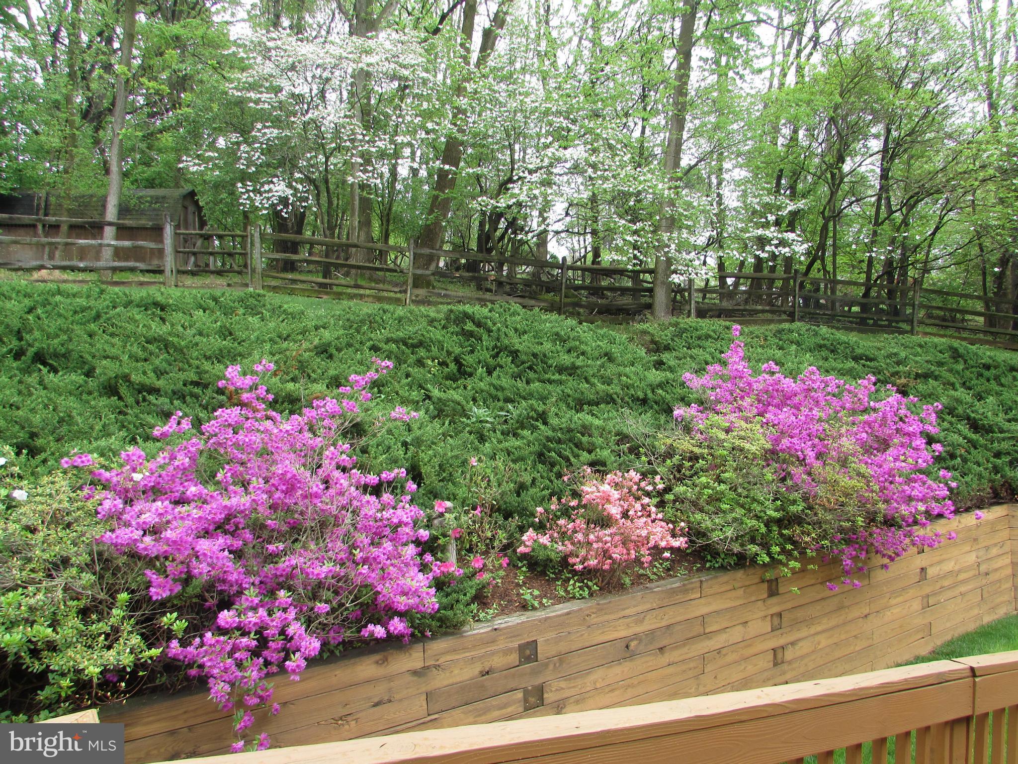 8658 Bali Road Ellicott City, MD 21043 - Photo 26 of 30 Exterior (Rear)