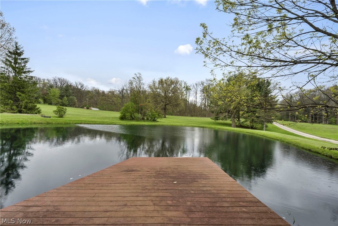8683 Kennard Road Lodi, OH 44254 - Photo 5 of 42 DOCK VIEW