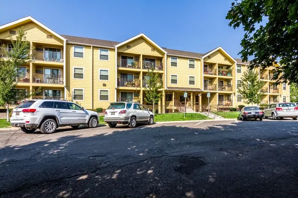 a view of yard with car parked