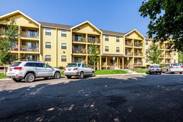 a view of yard with car parked