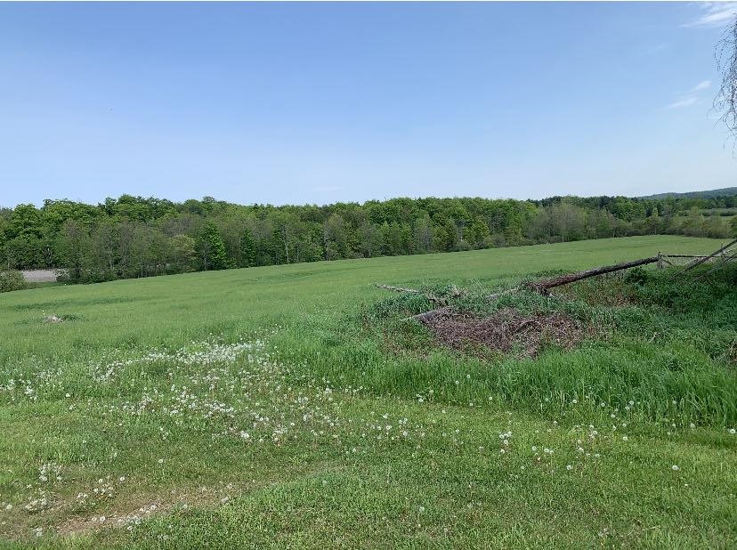 886 Bullock Road Georgia, VT 05468 - Photo 4 of 21