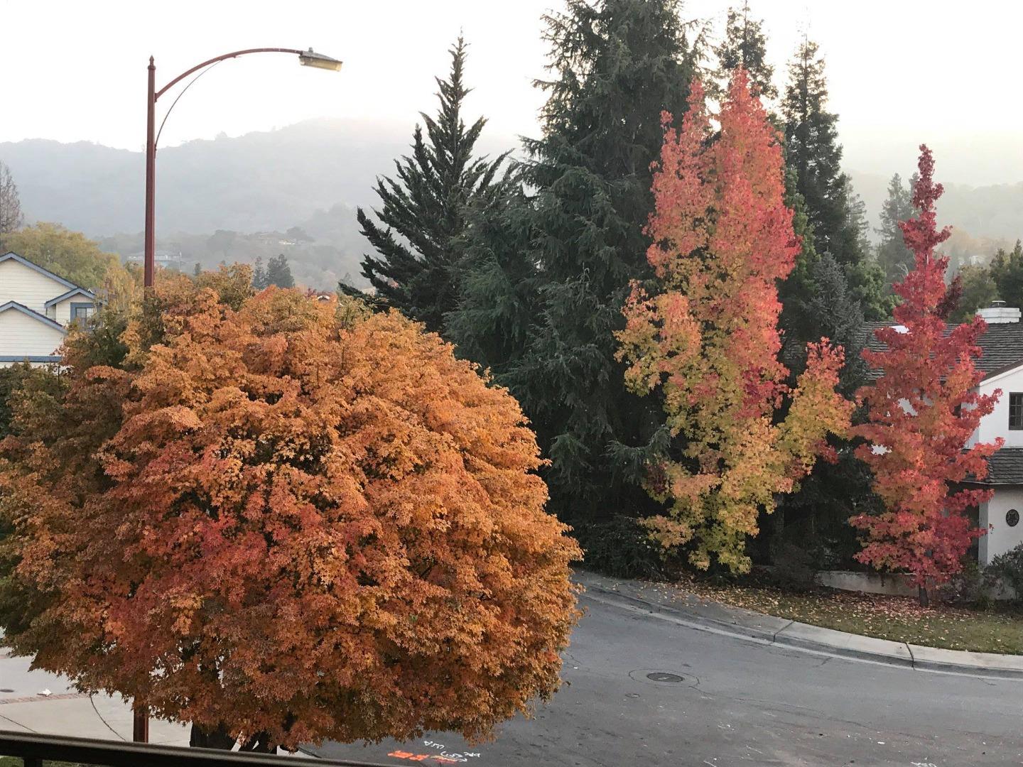 1127 Carnforth Court San Jose, CA 95120 - Photo 55 of 55