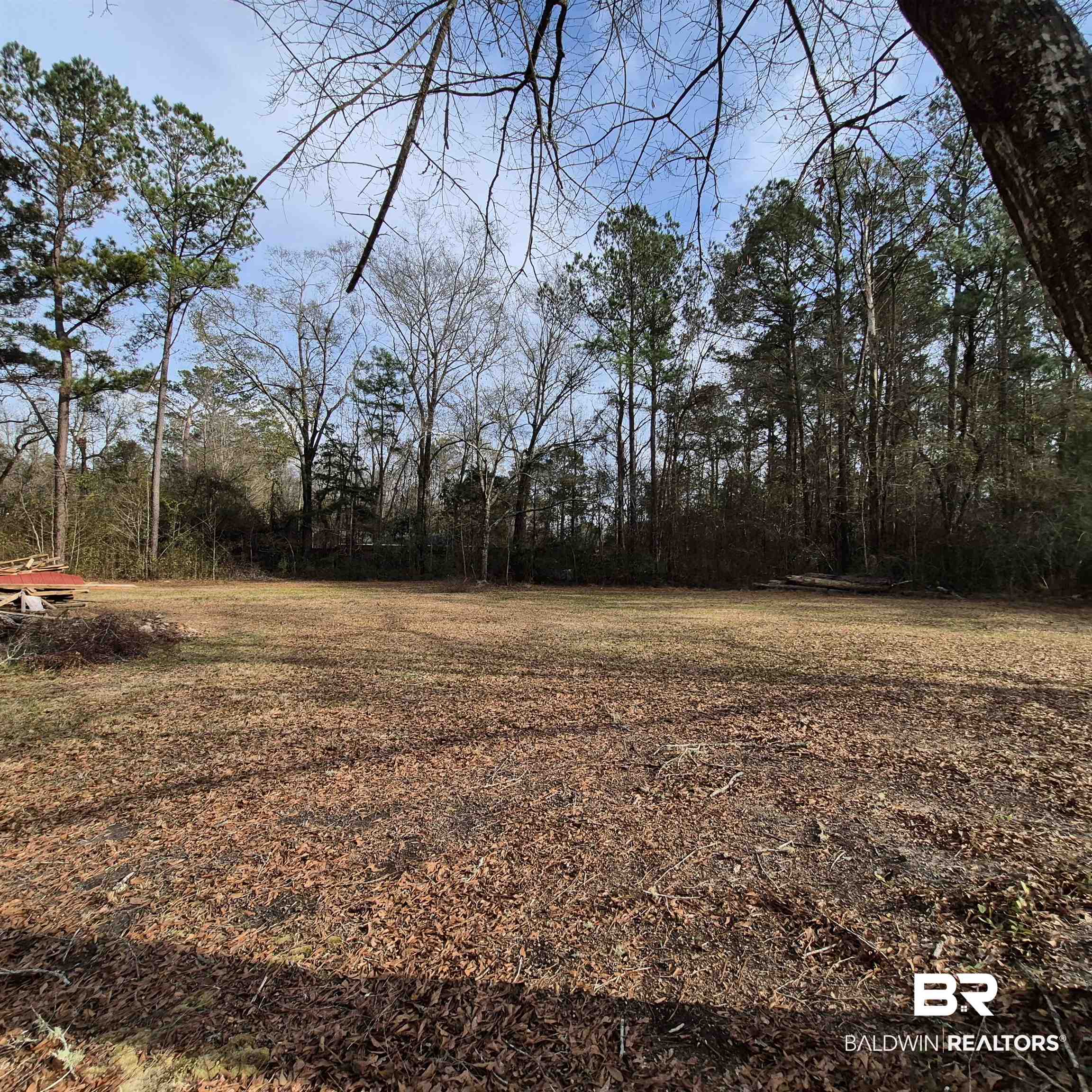 491 Forrest Avenue Castleberry, AL 36432 - Photo 31 of 33 View of yard