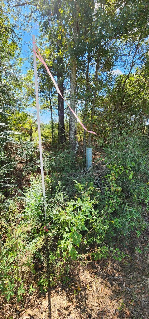 92 County Road 92 Slocomb, AL 36375 - Photo 30 of 32