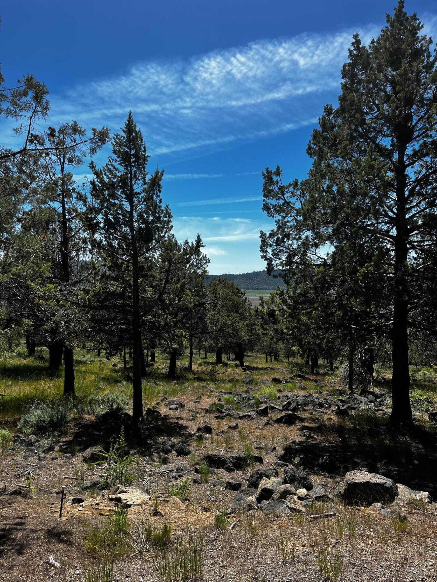 Lot 802 Cooper's Hawk Road Klamath Falls, OR 97601 - Photo 1 of 1 Lot 802 Coopers Hawk