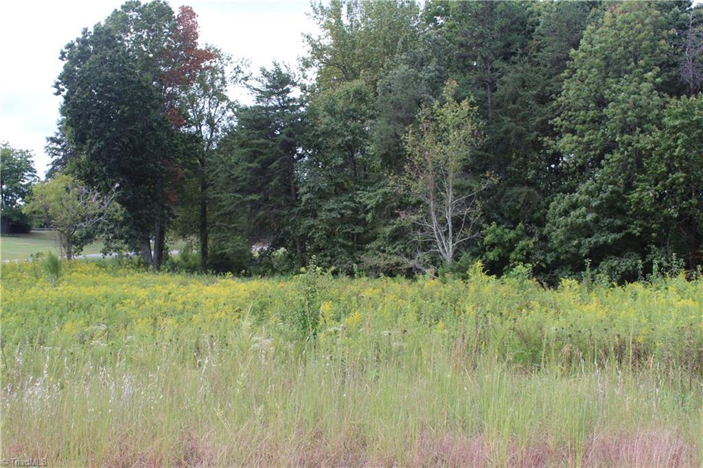 0 Mountain View Road, Unit 5 AC / Germanton, NC 27019 - Photo 2 of 22