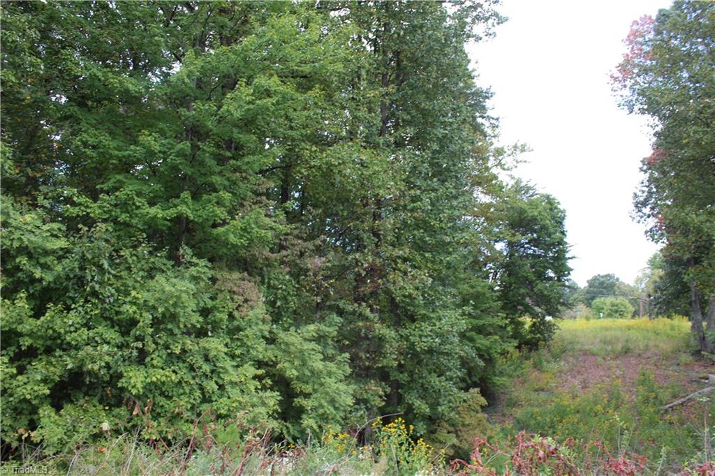 0 Mountain View Road, Unit 5 AC / Germanton, NC 27019 - Photo 11 of 22