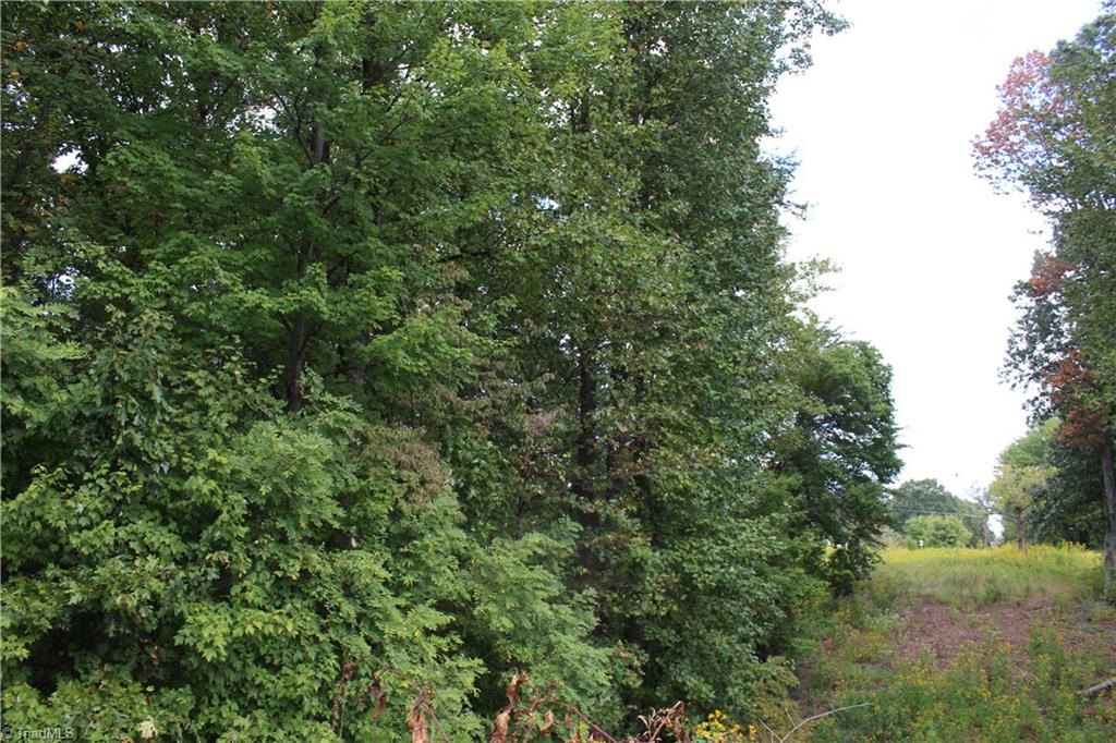 0 Mountain View Road, Unit 5 AC / Germanton, NC 27019 - Photo 12 of 22