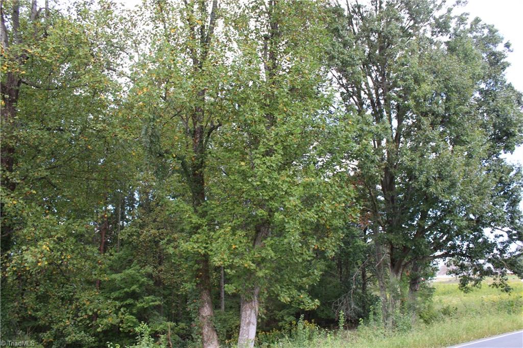 0 Mountain View Road, Unit 5 AC / Germanton, NC 27019 - Photo 13 of 22