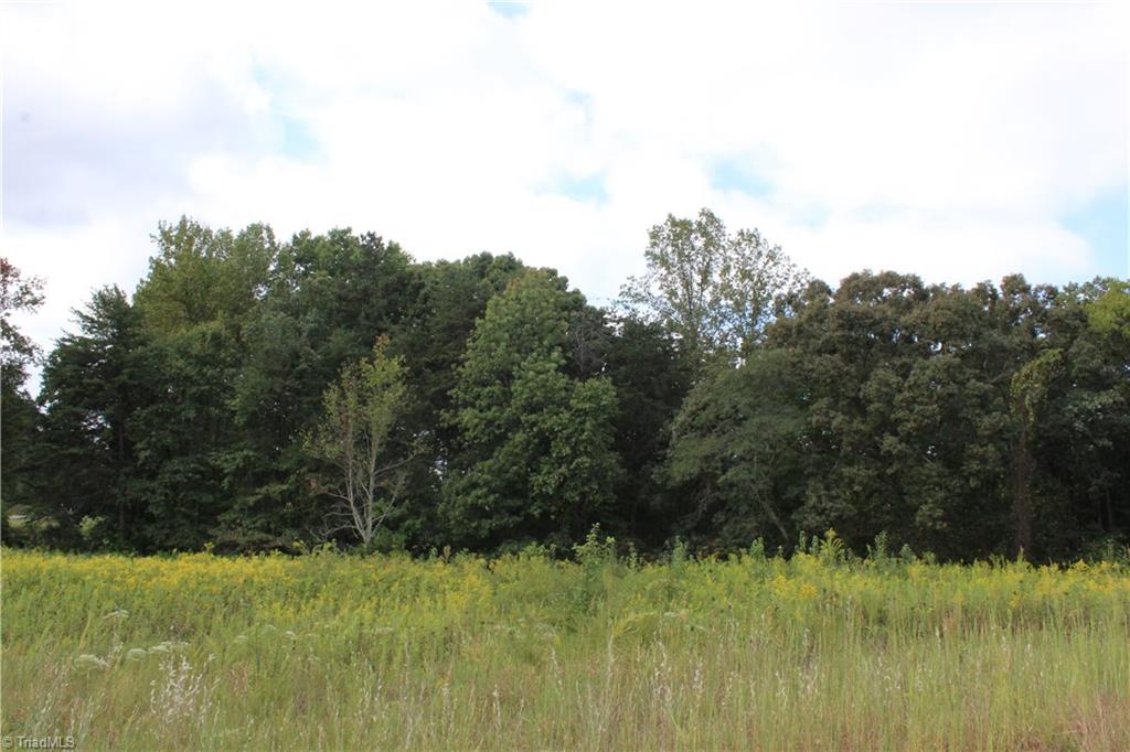 0 Mountain View Road, Unit 5 AC / Germanton, NC 27019 - Photo 15 of 22