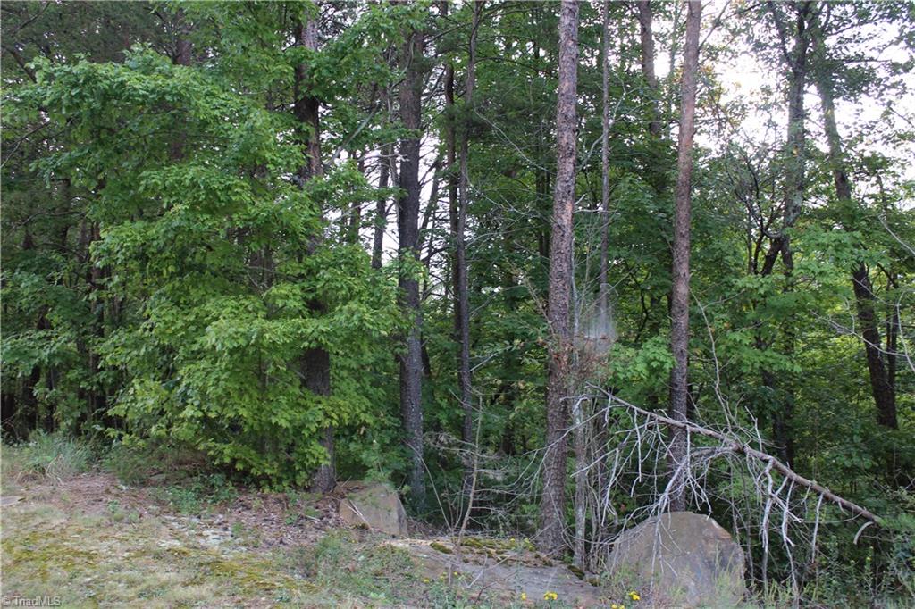 0 Mountain View Road, Unit 5 AC / Germanton, NC 27019 - Photo 16 of 22