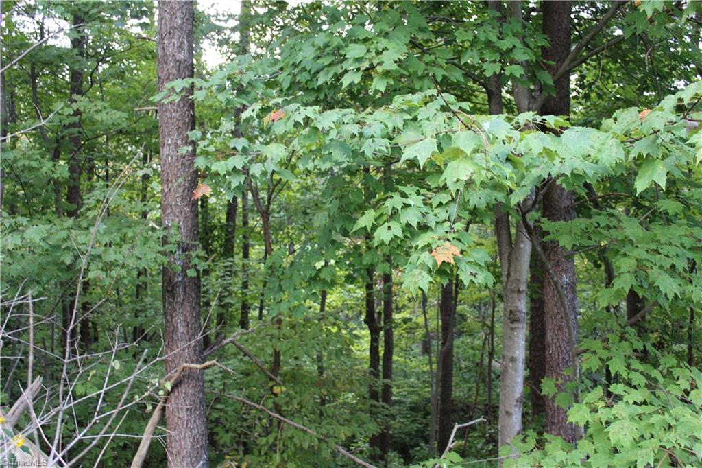 0 Mountain View Road, Unit 5 AC / Germanton, NC 27019 - Photo 17 of 22