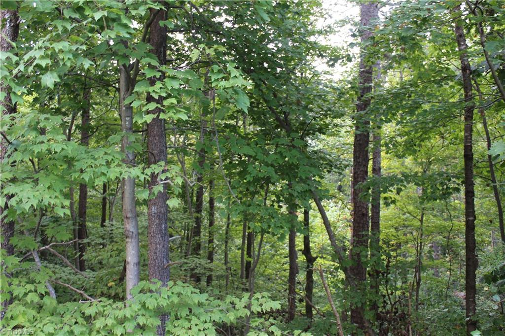 0 Mountain View Road, Unit 5 AC / Germanton, NC 27019 - Photo 18 of 22