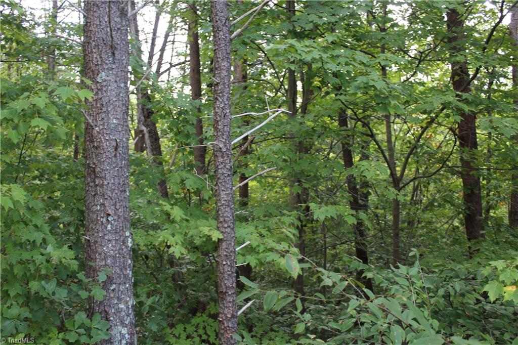 0 Mountain View Road, Unit 5 AC / Germanton, NC 27019 - Photo 19 of 22