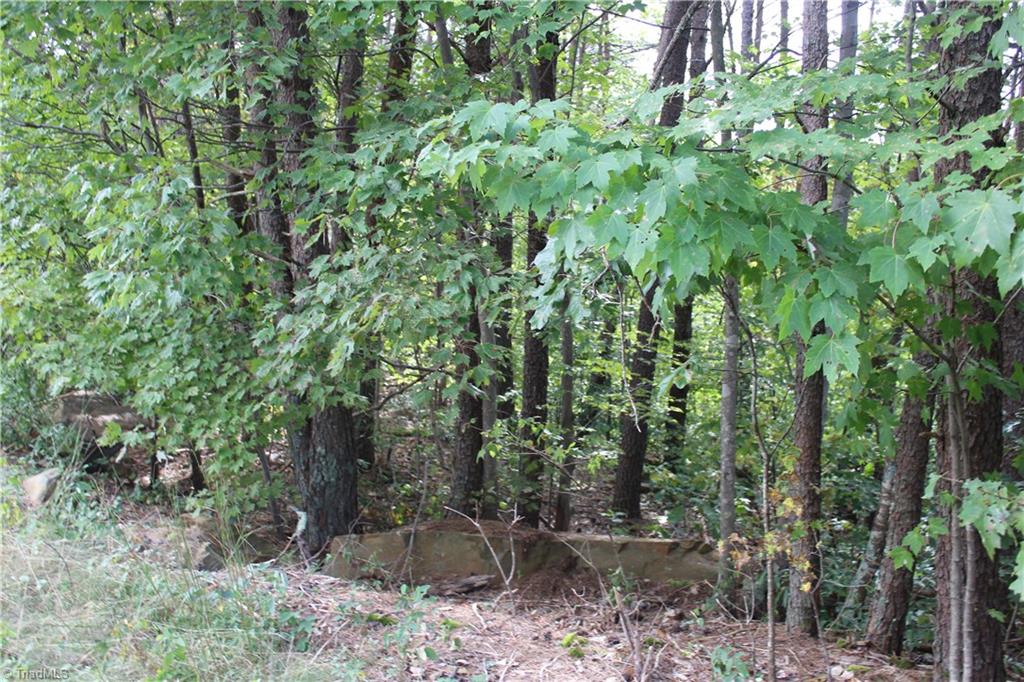 0 Mountain View Road, Unit 5 AC / Germanton, NC 27019 - Photo 20 of 22