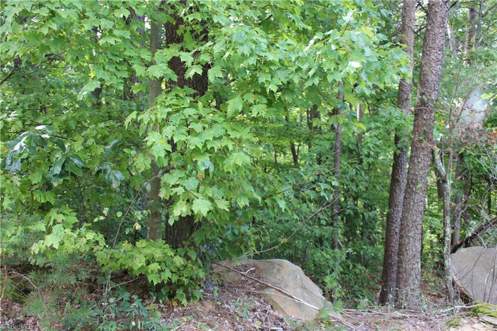0 Mountain View Road, Unit 5 AC / Germanton, NC 27019 - Photo 21 of 22