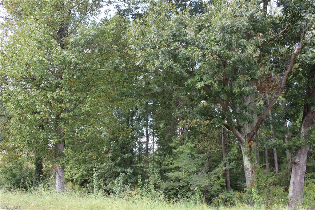 0 Mountain View Road, Unit 5 AC / Germanton, NC 27019 - Photo 9 of 22