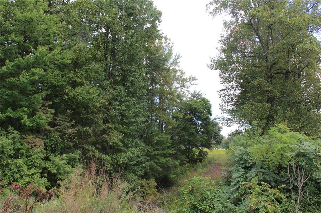 0 Mountain View Road, Unit 5 AC / Germanton, NC 27019 - Photo 10 of 22