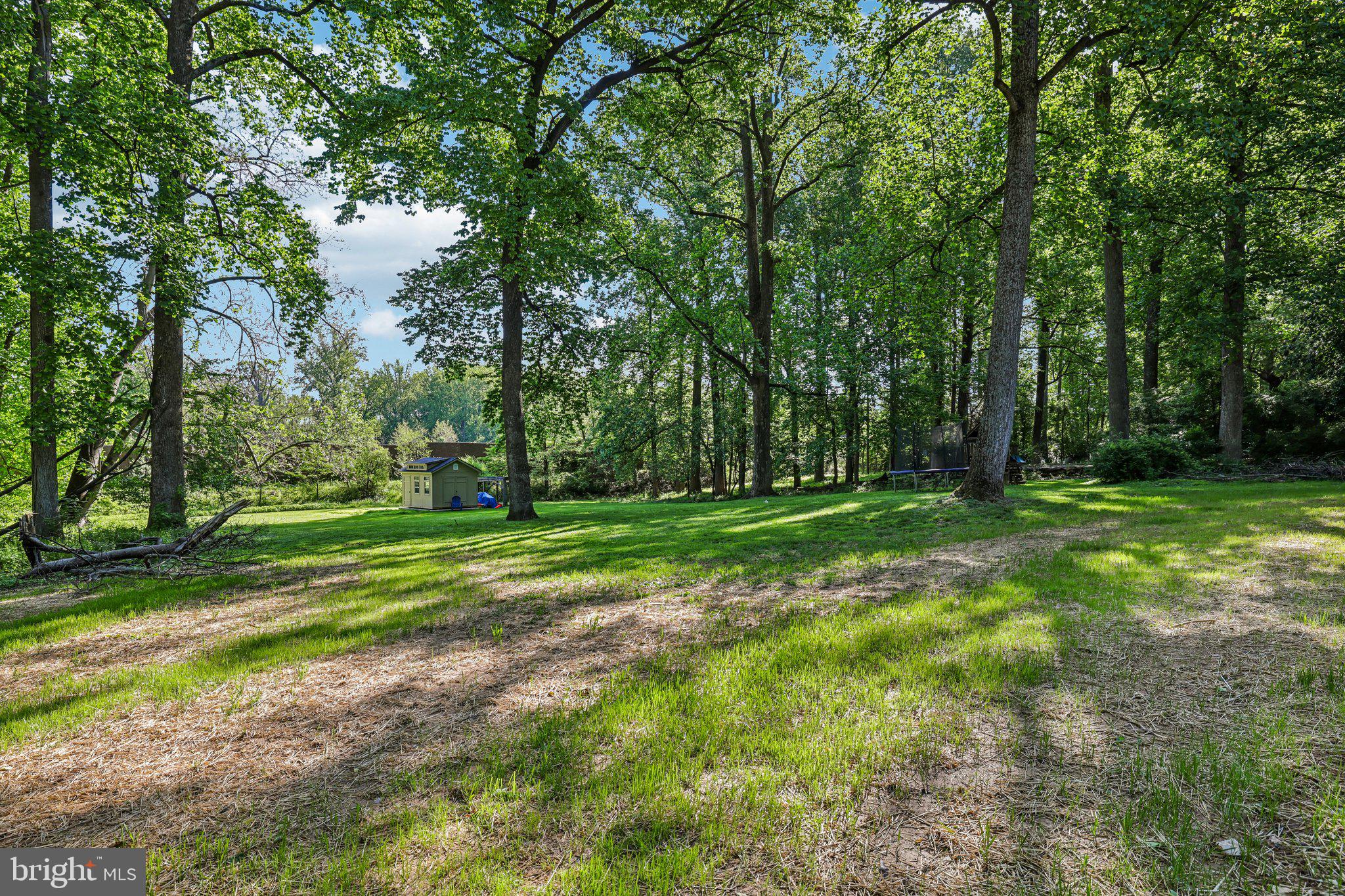 4315 Pinetree Road Rockville, MD 20853 - Photo 26 of 28 a view of a park with large trees
