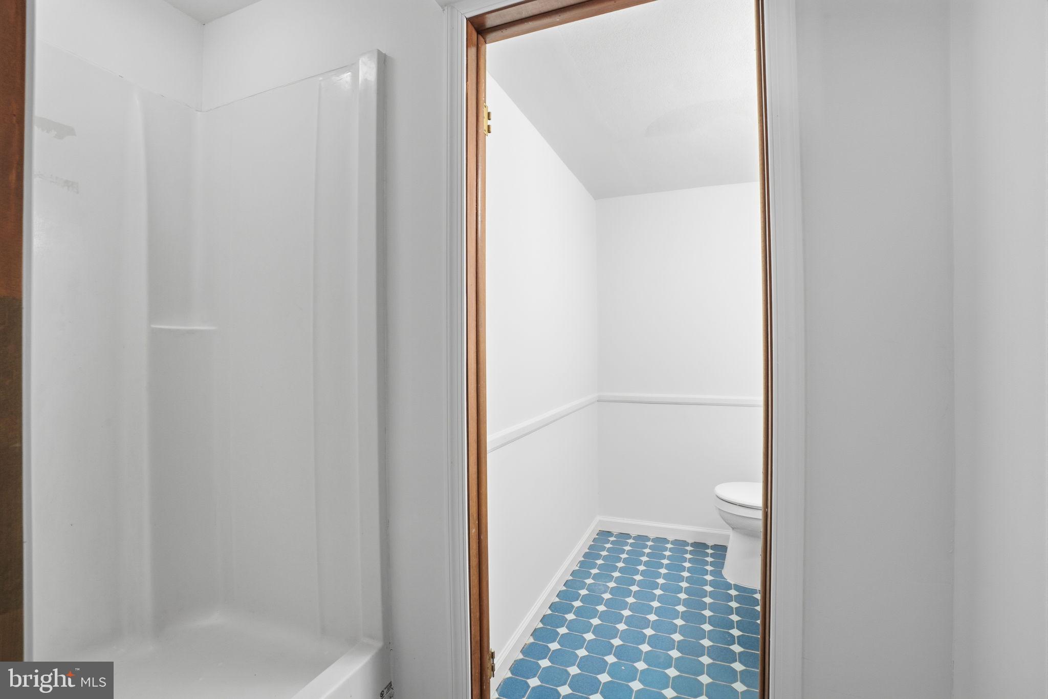 216 Bruce Road Washington Crossing, PA 18977 - Photo 31 of 49 bathroom in basement