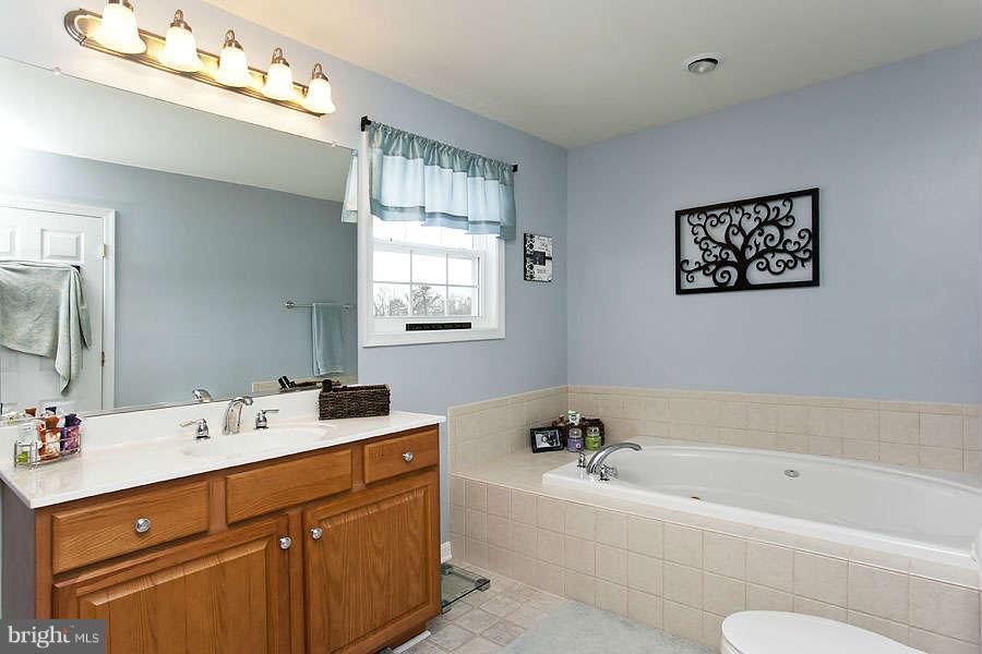 1610 Whitacre Road Gore, VA 22637 - Photo 23 of 29 Bath (Master)
