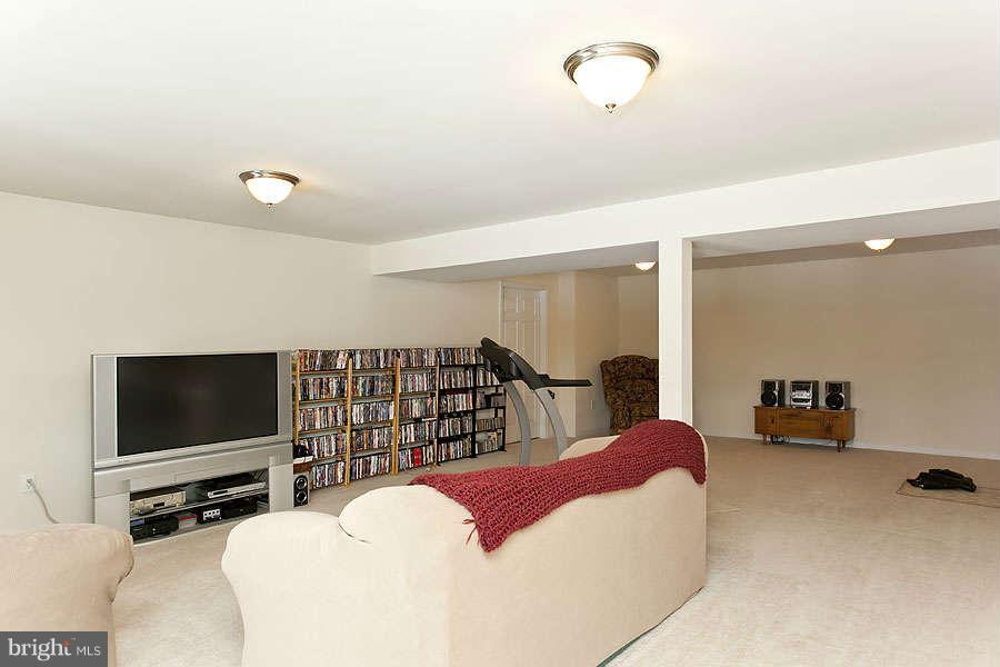 1610 Whitacre Road Gore, VA 22637 - Photo 25 of 29 Basement