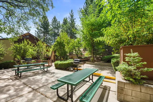 a view of a bench in a backyard