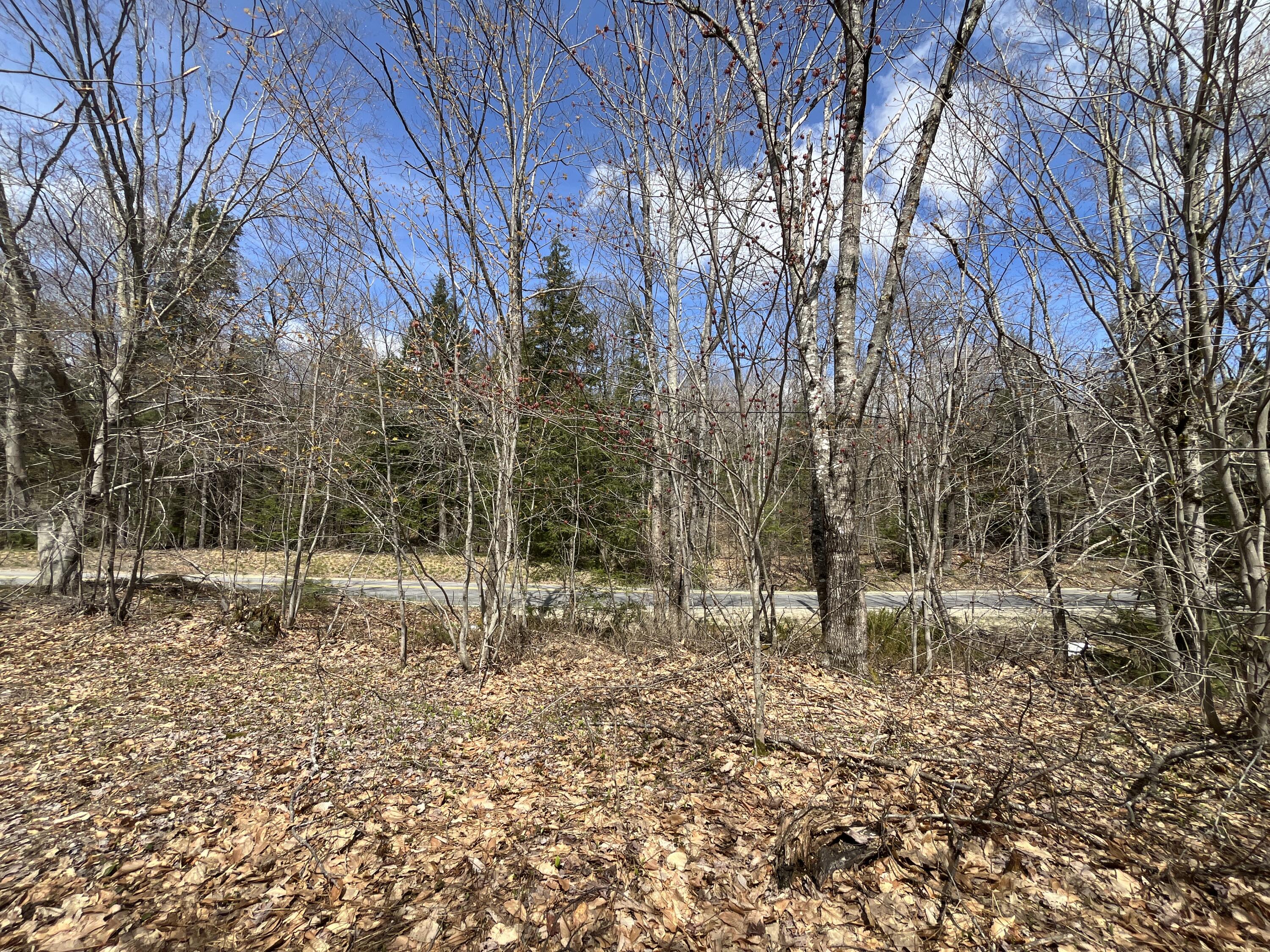 462 Sumner Road Hartford, ME 04220 - Photo 13 of 23 Terrain by road