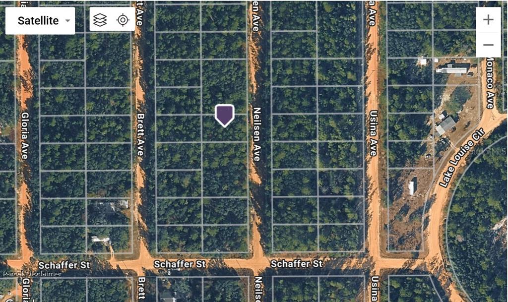 Neilson Avenue Interlachen, FL 32148 - Photo 7 of 8