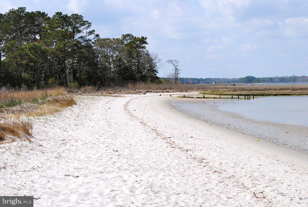 30609 Cedar Neck Road, Unit 3108 Ocean View, DE 19970 - Photo 41 of 42 a view of lake view and mountain view