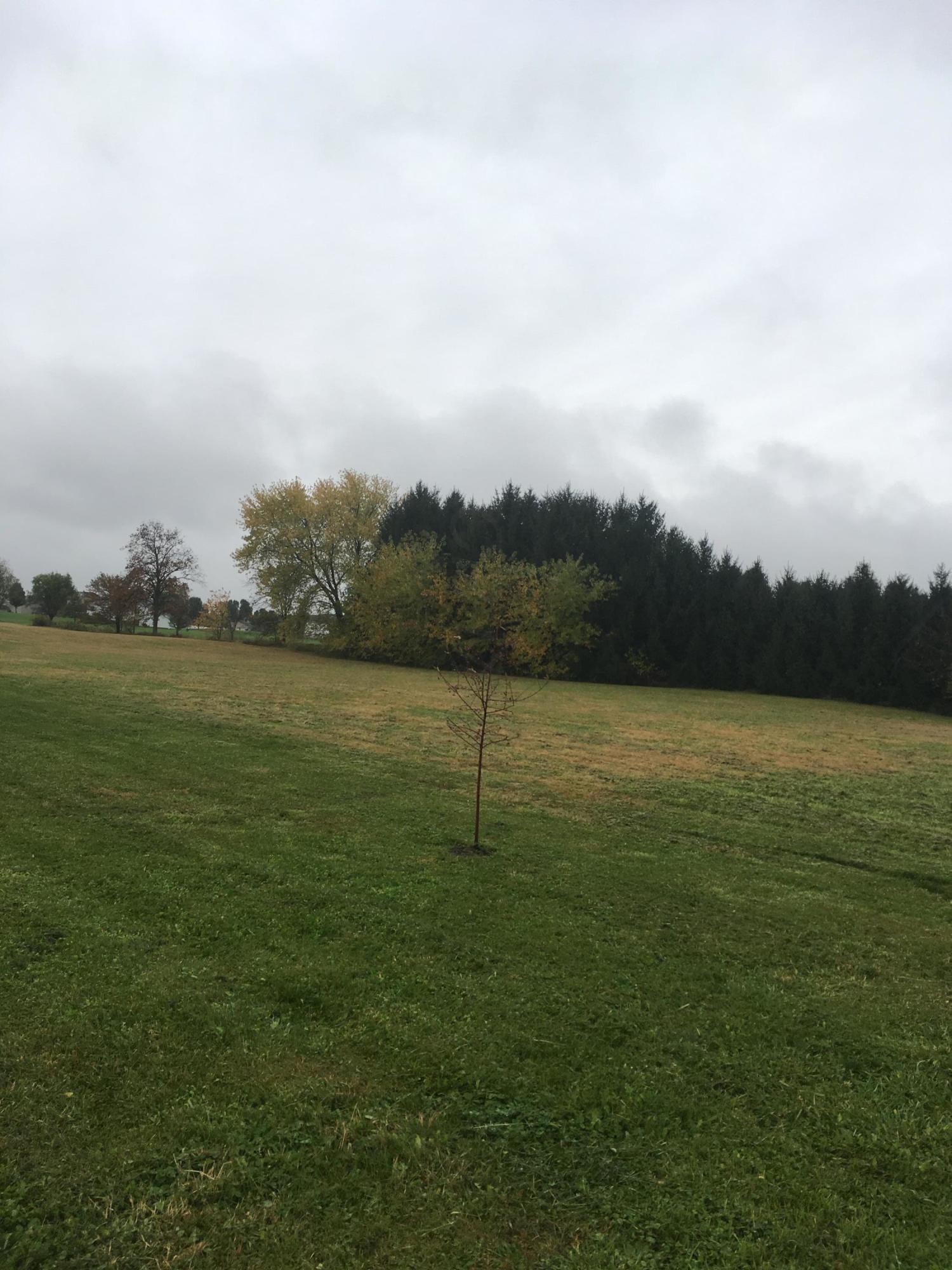 0 Carroll Eastern Road Northwest Carroll, OH 43112 - Photo 2 of 4
