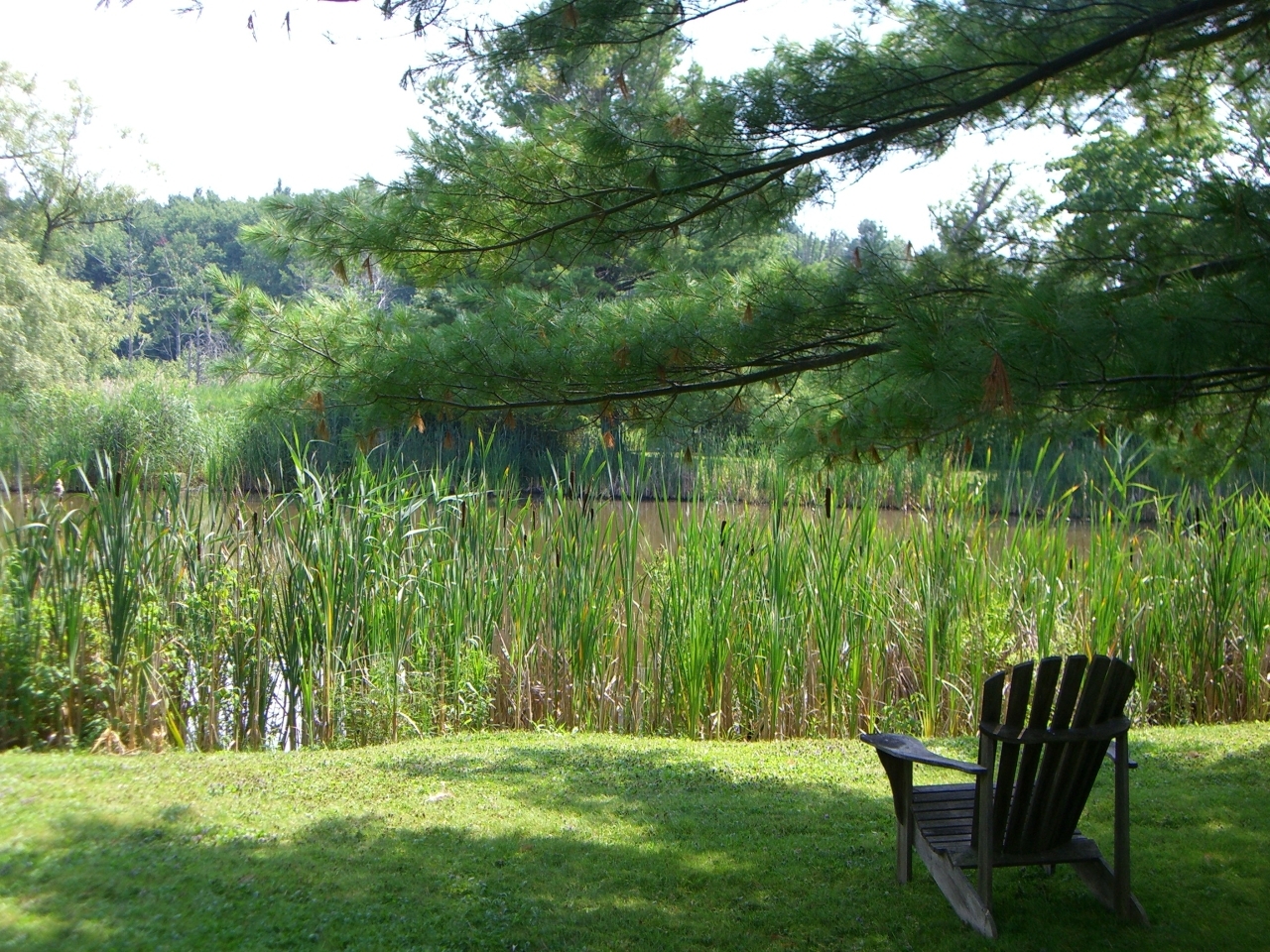 2 Wallace Road, Unit 2W Stockbridge, MA 01262 - Photo 30 of 36 heron pond summer 005
