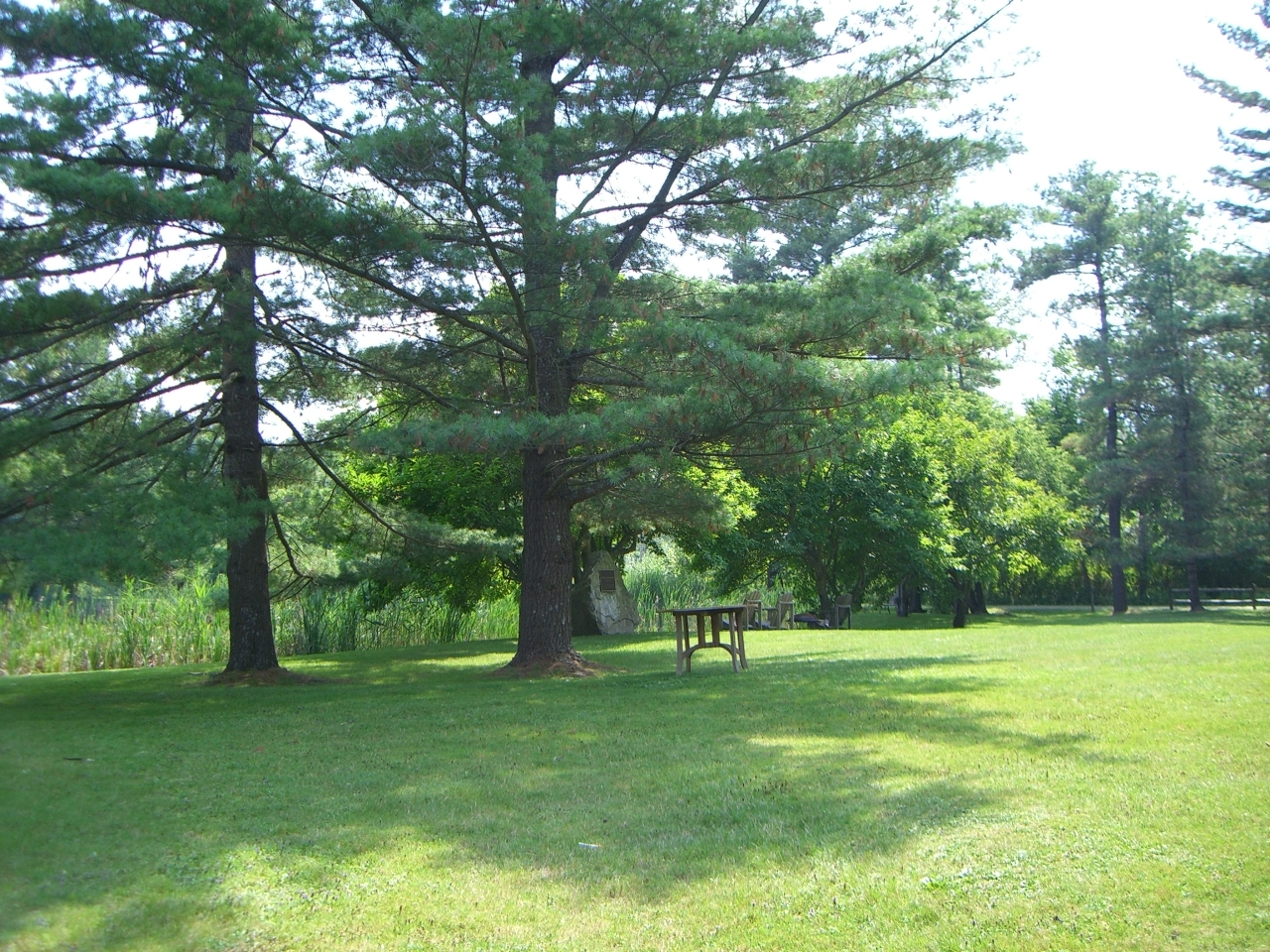 2 Wallace Road, Unit 2W Stockbridge, MA 01262 - Photo 31 of 36 heron pond summer 002