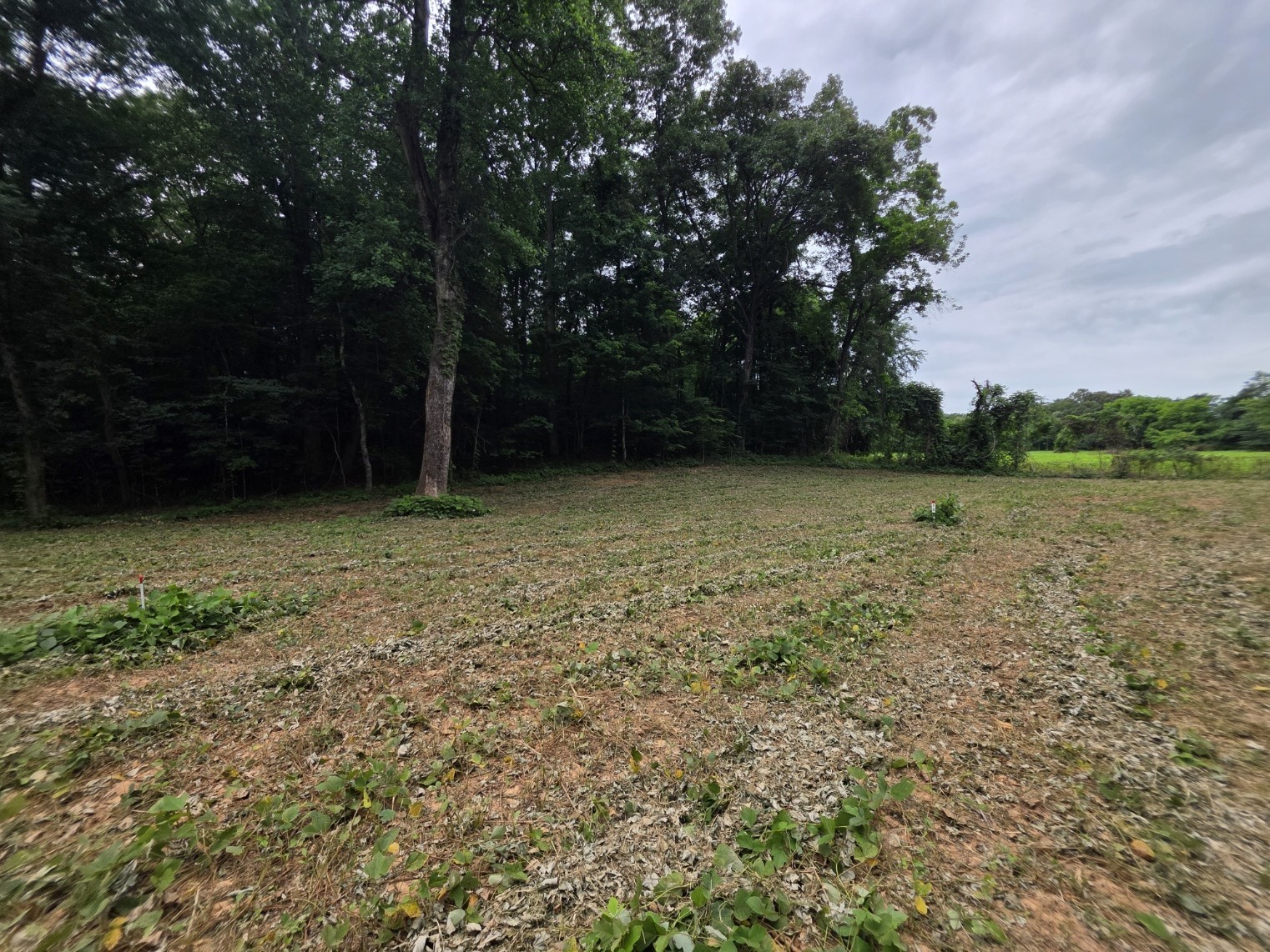 6 Shellsford Road McMinnville, TN 37110 - Photo 2 of 10 a view of a lake view