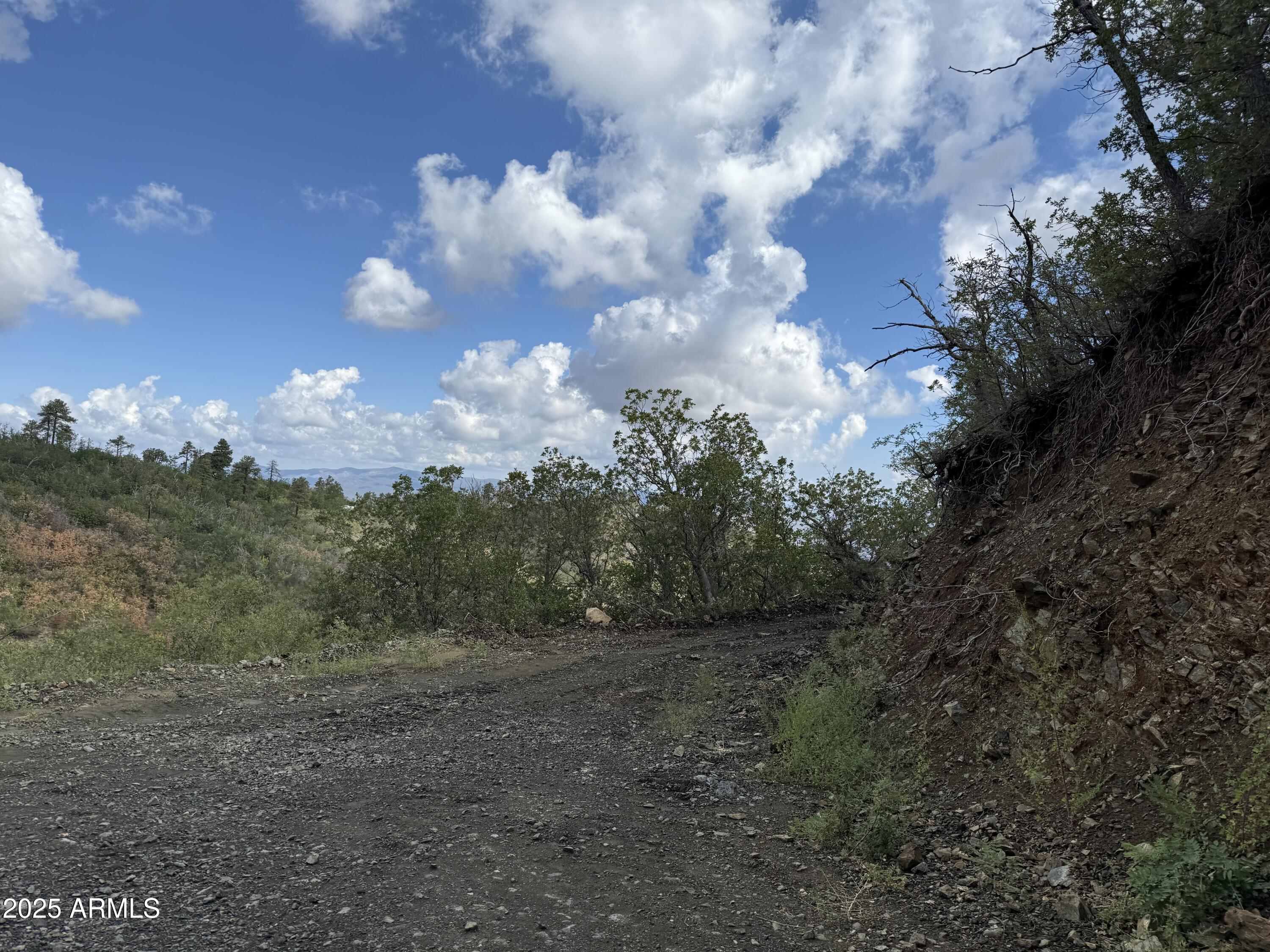 0 East Lincoln Ridge Road Crown King, AZ 86343 - Photo 11 of 11 Driveway