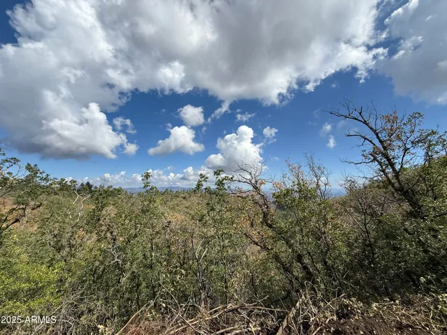 $59,000 | 0 East Lincoln Ridge Road, Crown King, AZ 86343