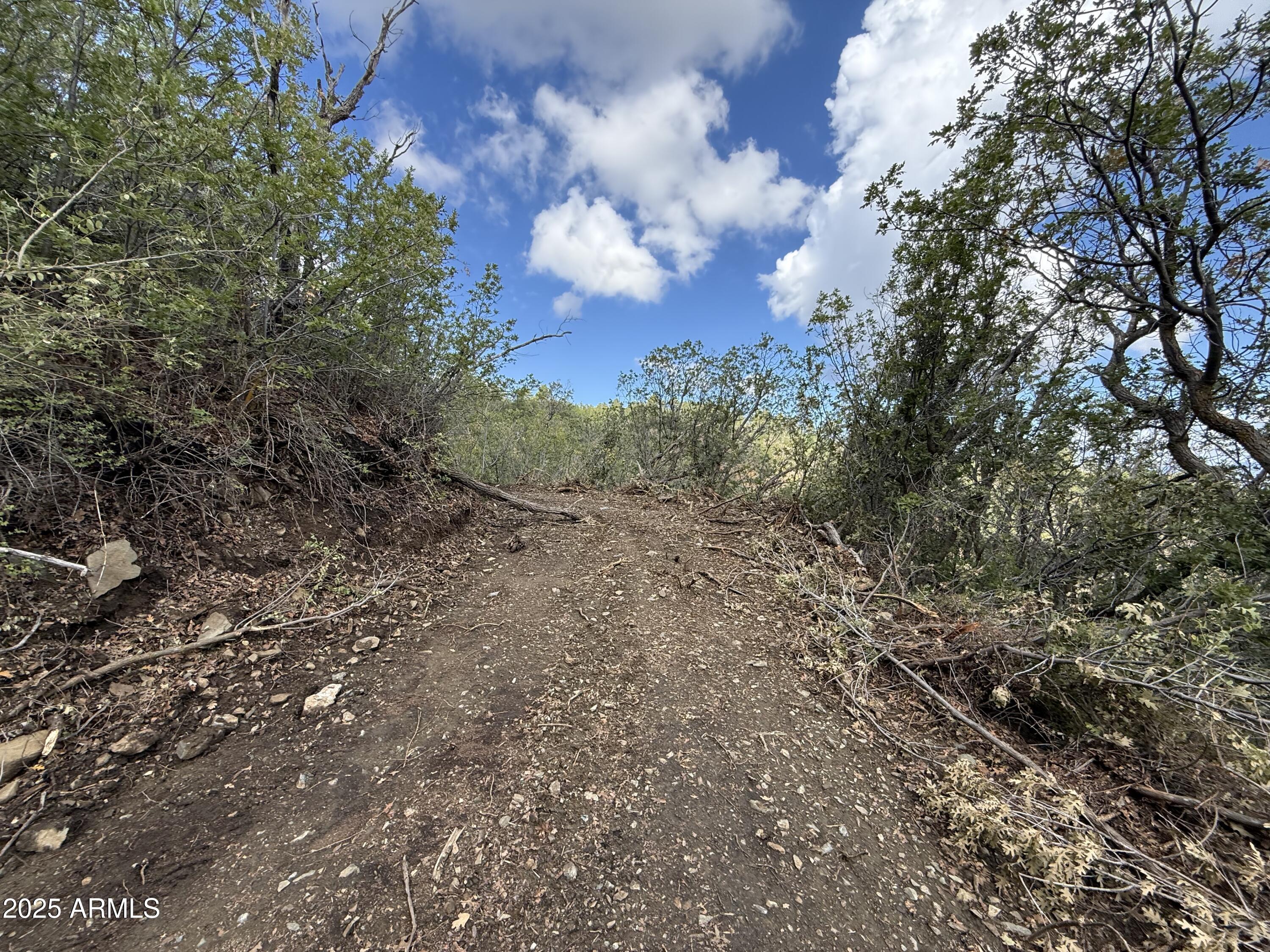 0 East Lincoln Ridge Road Crown King, AZ 86343 - Photo 4 of 11 Driveway
