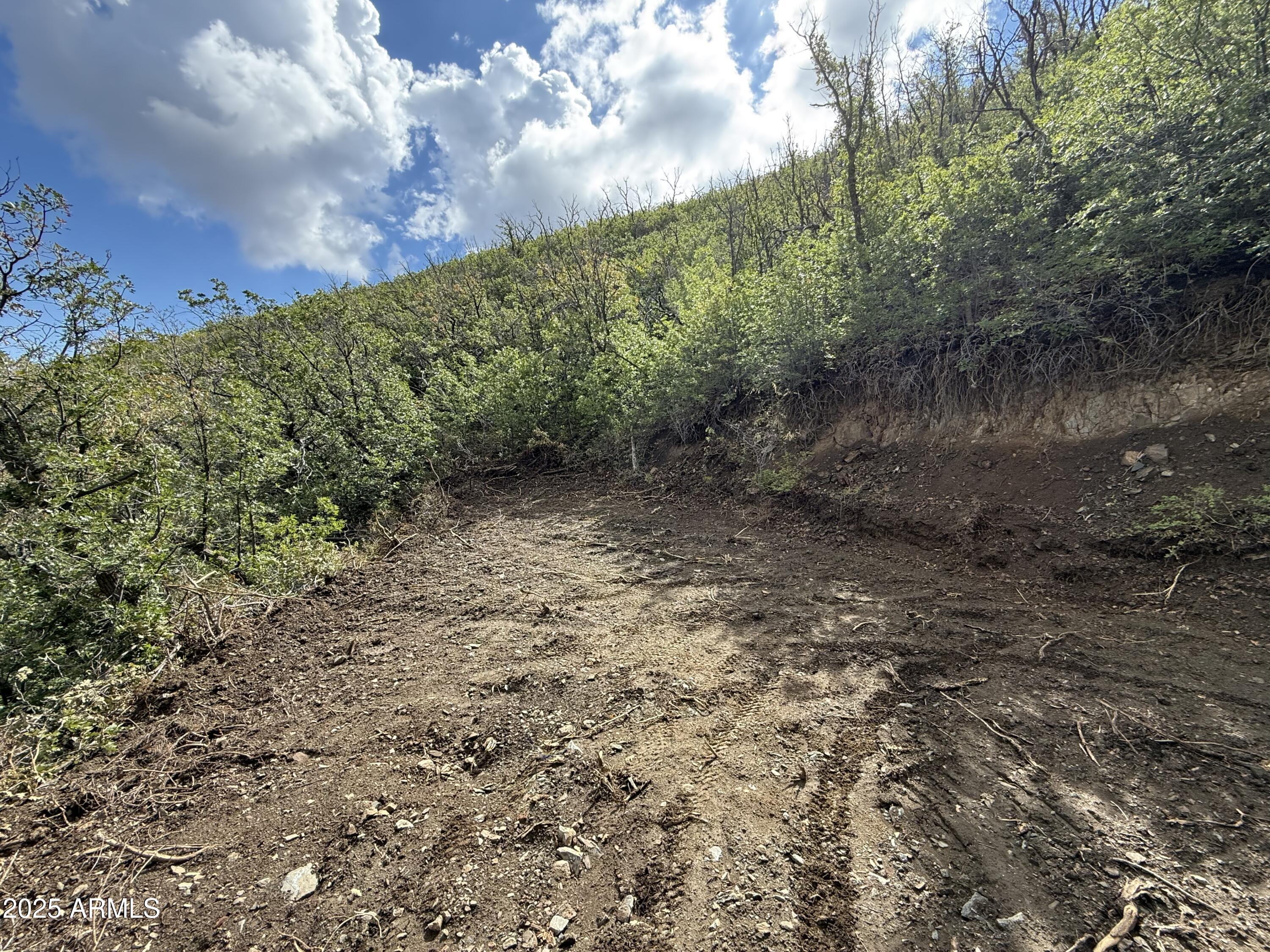 0 East Lincoln Ridge Road Crown King, AZ 86343 - Photo 5 of 11 Building area
