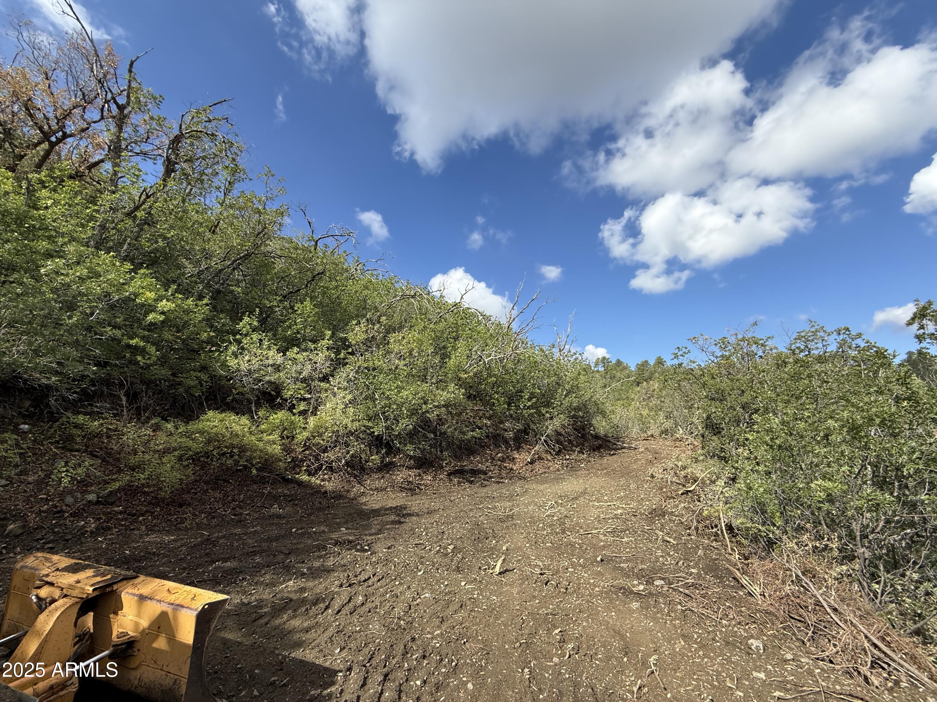 0 East Lincoln Ridge Road Crown King, AZ 86343 - Photo 6 of 11 Driveway