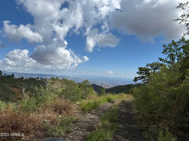 $59,000 | 0 East Lincoln Ridge Road, Crown King, AZ 86343