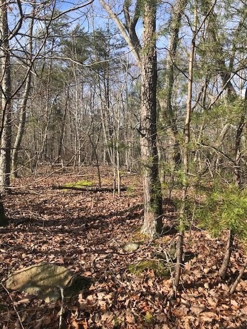 0 Mud Road Graysville, TN 37338 - Photo 14 of 19 Gallery Image 14