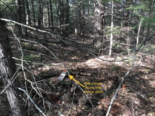 0 Off Mountain Stoneham, ME 04231 - Photo 12 of 32 Northwest corner