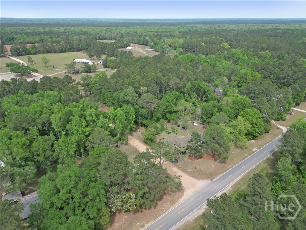 22731 Highway 46 Pembroke, GA 31321 - Photo 34 of 40