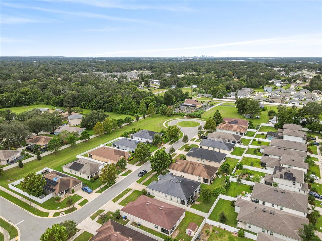 719 Vineyard Reserve Court Seffner, FL 33584 - Photo 52 of 55