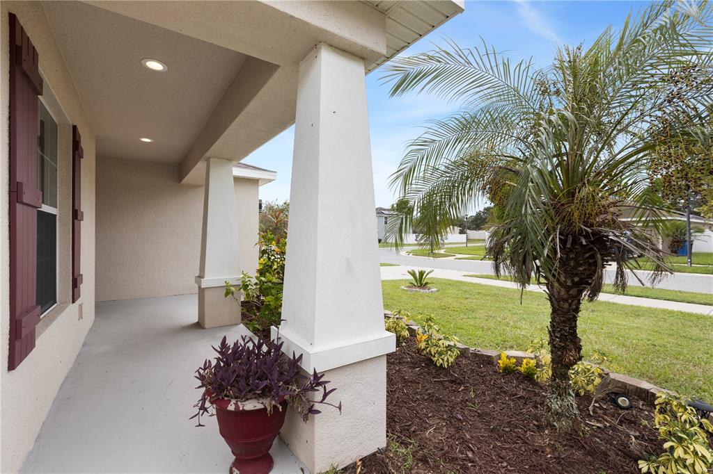 719 Vineyard Reserve Court Seffner, FL 33584 - Photo 6 of 55