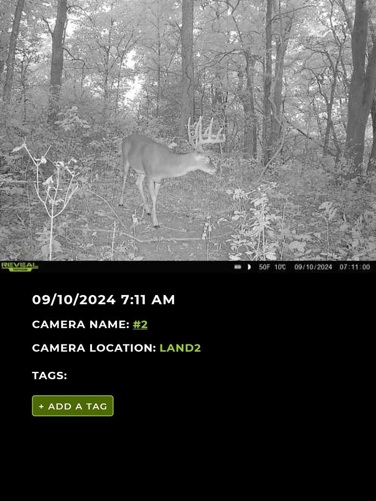 8499 East Upper Dry Fork Road Madison, IN 47250 - Photo 24 of 28