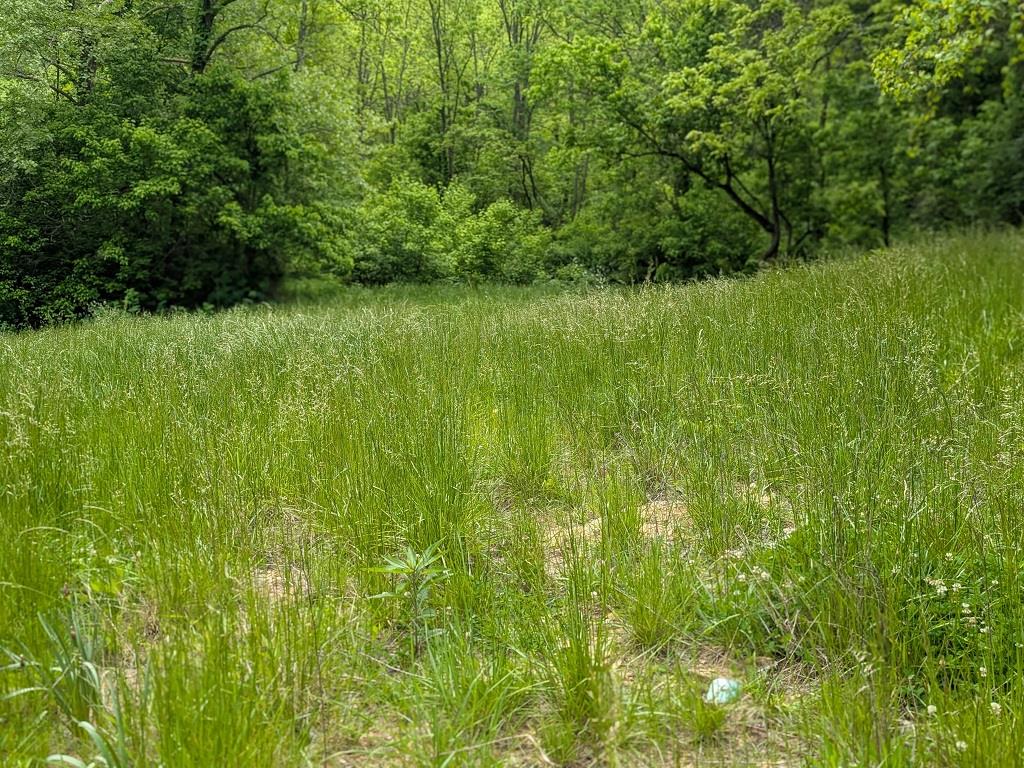 8499 East Upper Dry Fork Road Madison, IN 47250 - Photo 3 of 28