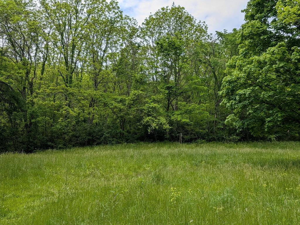 8499 East Upper Dry Fork Road Madison, IN 47250 - Photo 8 of 28